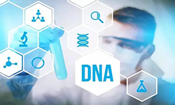 临沧妇幼保建院可以做DNA亲子鉴定吗，临沧医院做亲子鉴定流程