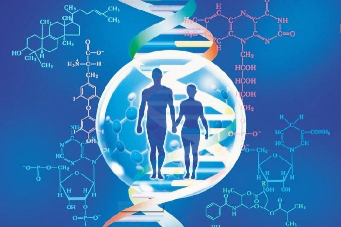 临沧DNA鉴定机构在哪儿,临沧亲子鉴定详细的流程