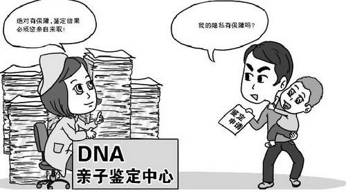 临沧个人想做DNA鉴定如何办理,临沧DNA亲子鉴定流程